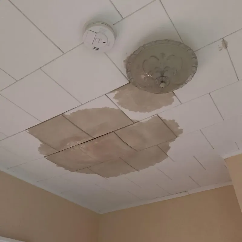 Ceiling Water Damage Repair in Purvis, MS