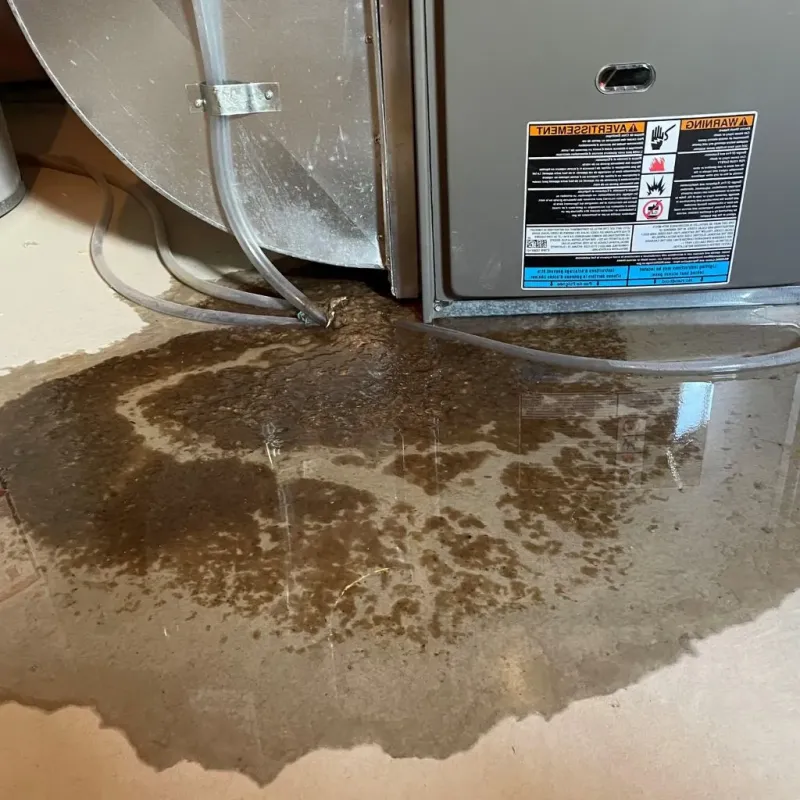 Pipe Burst and Leak Restoration in Purvis, MS