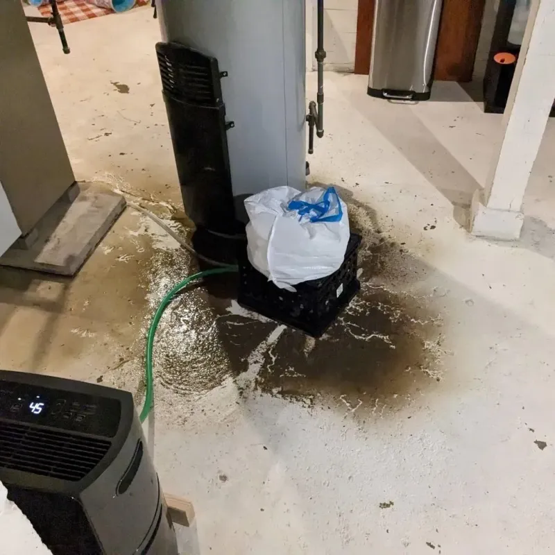 Sewage Backup Cleanup Service in Purvis, MS